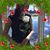 Kim Nguyen's profile image