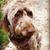 Tracy Wright Leopold's profile image
