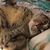 Cindy Deyo's profile image