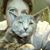 Crystal Riggi's profile image