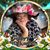 Sandy Clark's profile image