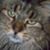 Wilmalyn Dimagio's profile image