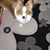 Glenna Mayes's profile image