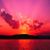 Michelle Tabako's profile image