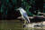 amia p.'s profile image