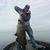 Joey Perrone's profile image