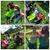 Sarah Renfro's profile image