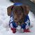 Nidia Pinto Valles's profile image
