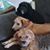 Marta Sztal Sancho's profile image