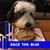 Jamie Windy's profile image