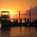 Judy Ihrig's profile image