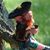 Tracy Pike's profile image