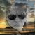 Victor Chanlatti's profile image