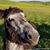 Dustin Andres's profile image