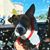 Angy Mera's profile image
