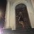 Dana Manzitti's profile image
