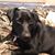 Tina Engoglia's profile image