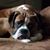 Tonya Shepherd's profile image
