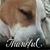 Sue Smith's profile image