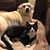 Colleen K Alexander's profile image
