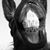 Marco Agretti's profile image