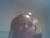 Ashley H.'s profile image