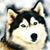 Jason Warner's profile image