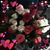 Brenda Riley's profile image