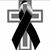 Viviana Roque's profile image