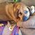 Roseann Melli's profile image