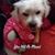 Leslie Wetmore's profile image
