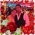 Basdeo Rkr Naf's profile image