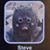 Steve-and Anna Hall's profile image