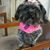 Sandi Garbrandt's profile image
