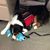 Kathy Hobson's profile image