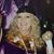 Jennifer Theriot's profile image
