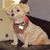 Jackie Eckles Mostyn's profile image