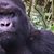 John Winecker's profile image