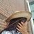 Irene Martinez-Louca's profile image
