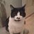 Emily Hicks's profile image