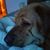 Heather Rohm's profile image