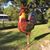 Cathi Rigsby's profile image