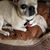 Pamela Diane Burgess's profile image