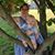 April Salzano's profile image