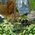 Sue Clutter's profile image