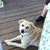 Wanda Barthalow-Mann's profile image