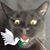 Don Hopkins's profile image