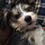 Kelli TnVol's profile image