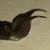 Tracey Martin Le's profile image