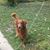 Tina Metzner's profile image